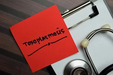 Toxoplasmosis write on sticky notes isolated on Wooden Table. Stock Photos