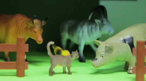 Toy  a animals Stock Footage 56202230