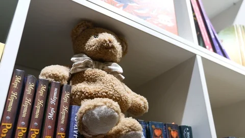 Toy Bear in a bookstore Video stock 101571944