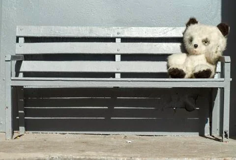 Toy bear sitting on the bench Stock Photos