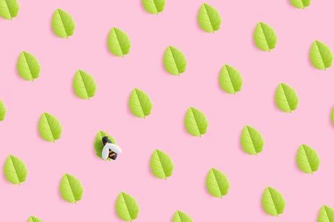 Toy bee on the leaf. Summer pattern of toy green leaves on pink background. Stock Photos