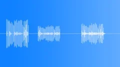 TOY, BIRD Sound Effect