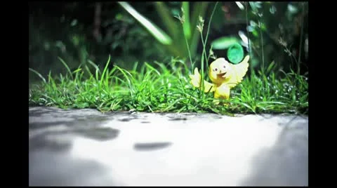 Toy bird timelapse Stock Footage 10733154