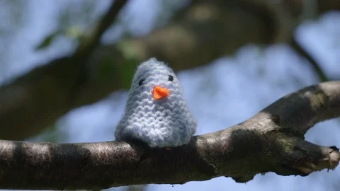 Toy Bird on Tree Branch Stock Footage 128610861