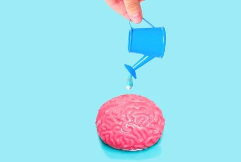 Toy Brain Model Watered with Tiny Watering Can 스톡 사진