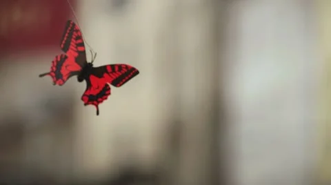 Toy Butterfly on blurred Background Stock Footage 22242012
