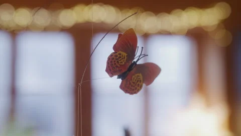 Toy Butterfly On Blurred Background Stock Footage 265420121