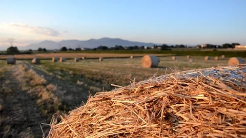 Toy car on a round bale Stock Footage 76909038