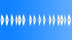 TOY, CARSound Effect