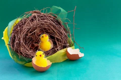 Toy chick in real egg shell broken.background blue Stock Photos