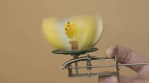 Toy Chick in Spinning Eggshell Stock Footage 46179684