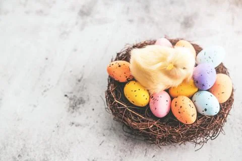 Toy chicken in a nest with Easter eggs. Cute light background for the Easter Stock Photos