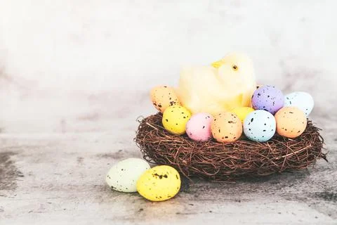 Toy chicken in a nest with Easter eggs. Cute light background for the Easter Foto stock