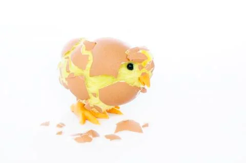 Toy covered with eggshell Stock Photos