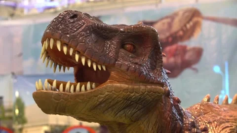 Toy dinosaur head Stock Footage 88435085