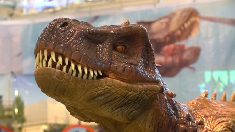 Toy dinosaur head Vidéo 88681504