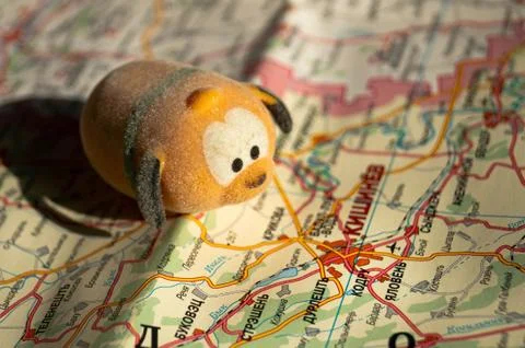 Toy dog is looking for a path on the map. Travel themed abstraction. Stock Photos