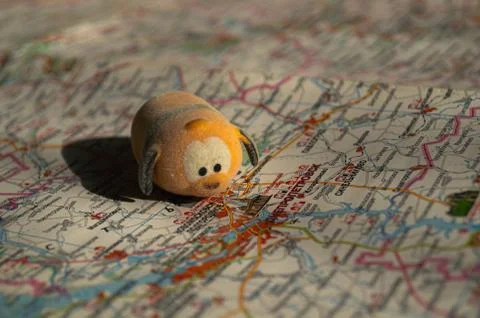 Toy dog is looking for a path on the map. Travel themed abstraction. Stock Photos