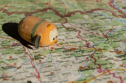 Toy dog is looking for a path on the map. Travel themed abstraction. Stock Photos