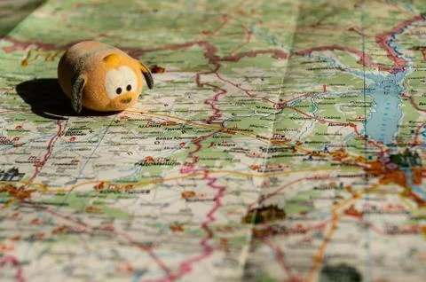 Toy dog is looking for a path on the map. Travel themed abstraction. Stock Photos