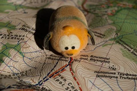 Toy dog is looking for a path on the map. Travel themed abstraction. Stock Photos