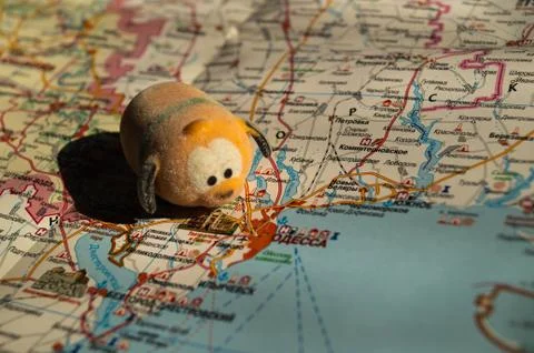 Toy dog is looking for a path on the map. Travel themed abstraction. Stock Photos