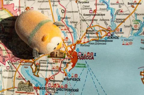 Toy dog is looking for a path on the map. Travel themed abstraction. Stock Photos