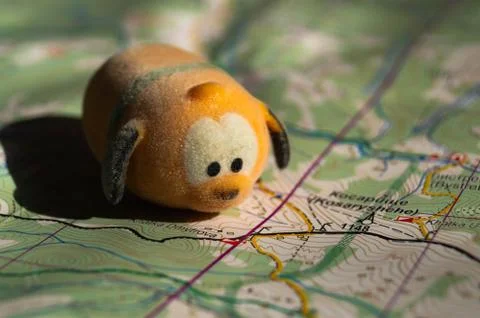 Toy dog is looking for a path on the map. Travel themed abstraction. Stock Photos