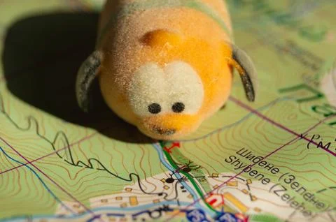 Toy dog is looking for a path on the map. Travel themed abstraction. Stock Photos