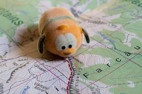 Toy dog is looking for a path on the map. Travel themed abstraction. Stock Photos