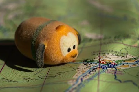 Toy dog is looking for a path on the map. Travel themed abstraction. Stock Photos