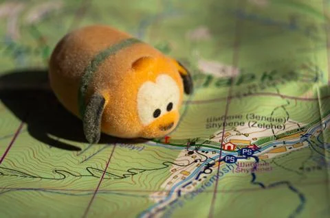 Toy dog is looking for a path on the map. Travel themed abstraction. Stock Photos