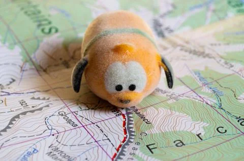 Toy dog is looking for a path on the map. Travel themed abstraction. Stock Photos