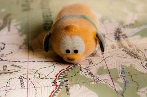 Toy dog is looking for a path on the map. Travel themed abstraction. Stock Photos