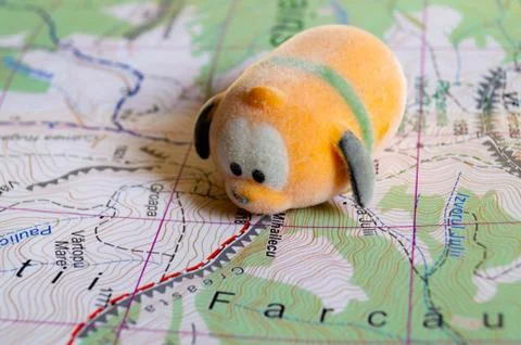 Toy dog is looking for a path on the map. Travel themed abstraction. Stock Photos
