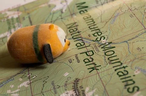 Toy dog is looking for a path on the map. Travel themed abstraction. Stock Photos