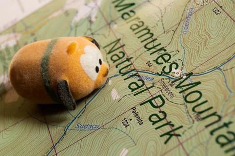Toy dog is looking for a path on the map. Travel themed abstraction. Stock Photos