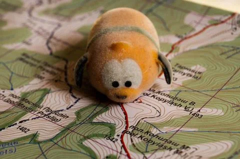 Toy dog is looking for a path on the map. Travel themed abstraction. Stock Photos