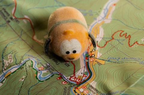 Toy dog is looking for a path on the map. Travel themed abstraction. Stock Photos