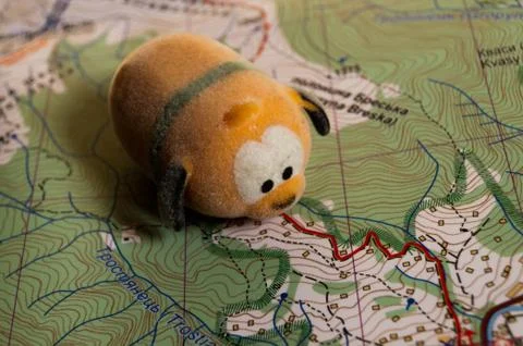 Toy dog is looking for a path on the map. Travel themed abstraction. Stock Photos
