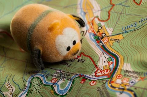 Toy dog is looking for a path on the map. Travel themed abstraction. Stock Photos