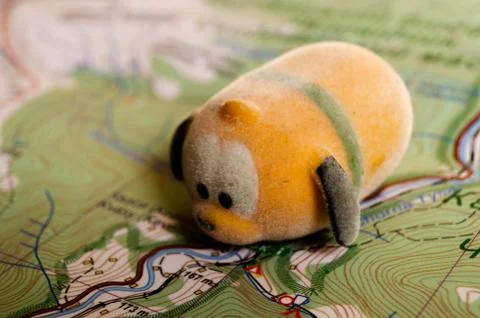 Toy dog is looking for a path on the map. Travel themed abstraction. Stock Photos