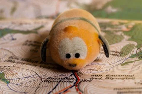 Toy dog is looking for a path on the map. Travel themed abstraction. Stock Photos