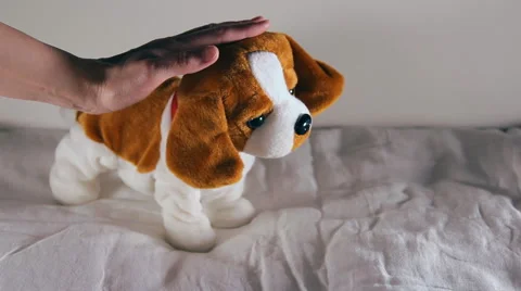 Toy dog moves Stock Footage 45812627