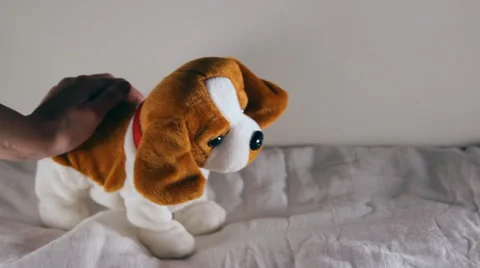 Toy dog moves Stock Footage 45812666