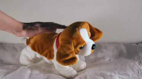 Toy dog moves Stock Footage 45812758