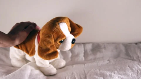 Toy dog moves Stock Footage 46727096