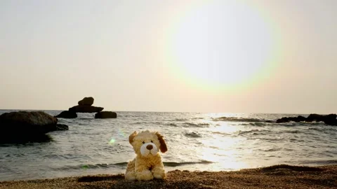Toy dog sits on a sandy beach lonely, against the backdrop of the sea, sunrise Stock Footage 136836041