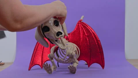 Toy dog skeleton in devil horns and red bat wings posed on purple studio ba.. Stockbeeldmateriaal 347632885