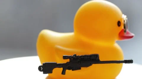 toy duck in a dark glasses with a Stock Video Pond5